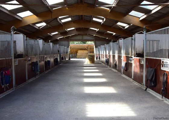 Inside the main stable barn