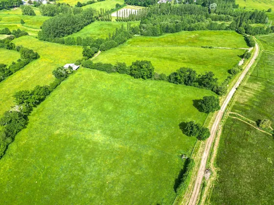 Prairies et haies bocagères sur le domaine