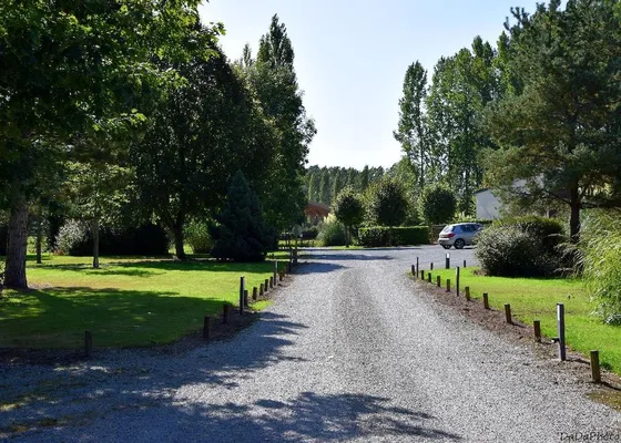 Path through the estate