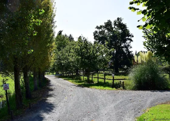 Tree-lined access paths