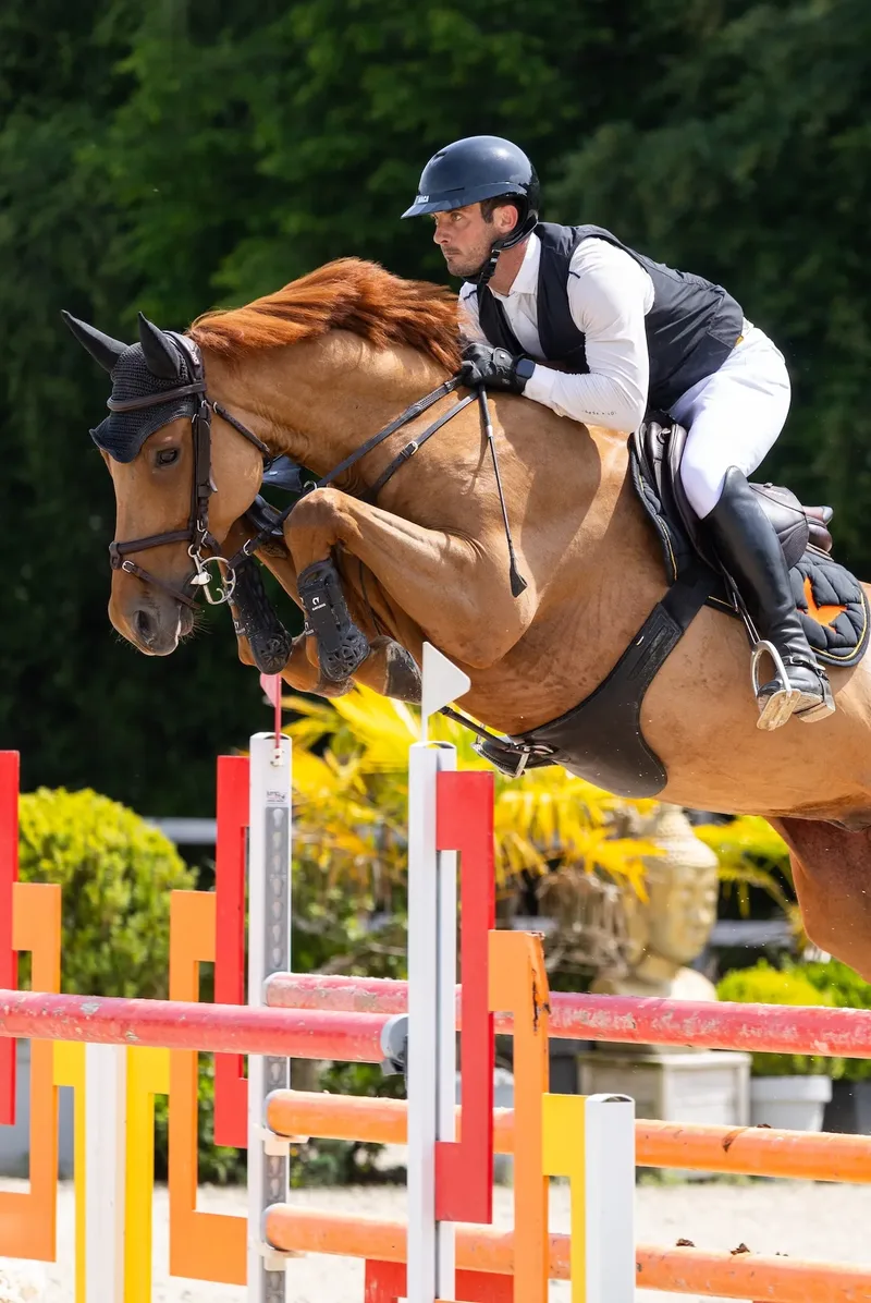 Horse Training & Development