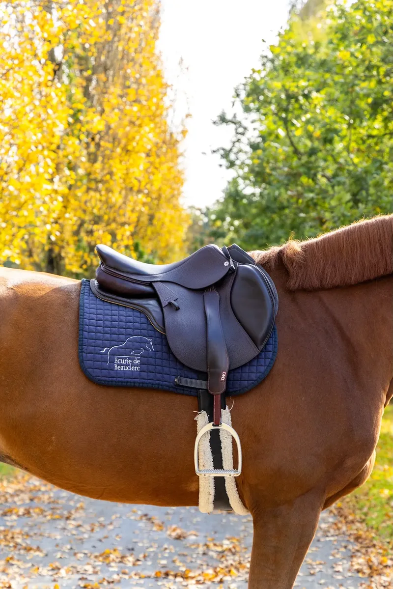 Horse Sales & Development