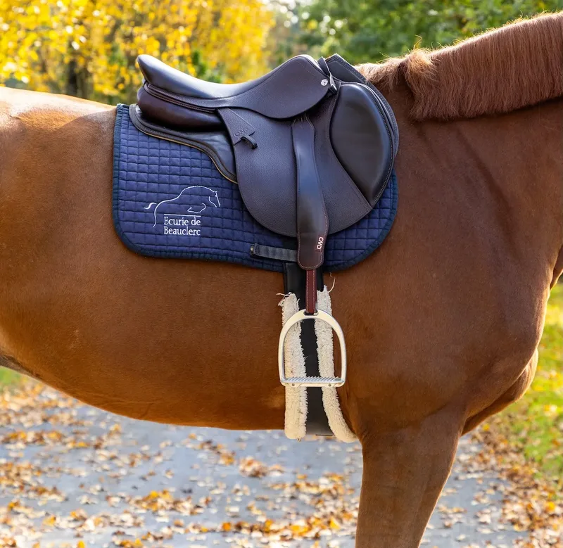 Horse Sales