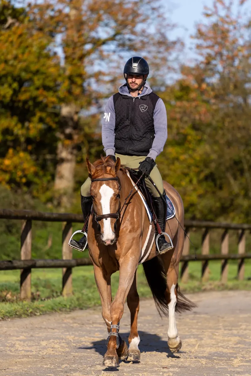 Professional rider with a young horse